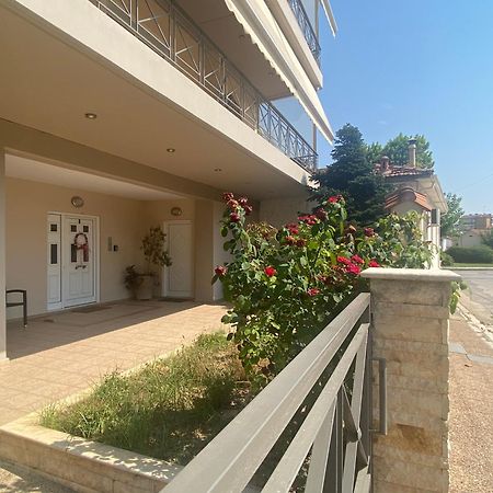 Cozy & Quiet City Apartment Трикала Екстер'єр фото