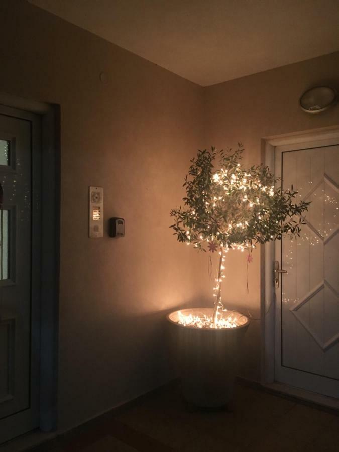 Cozy & Quiet City Apartment Трикала Екстер'єр фото